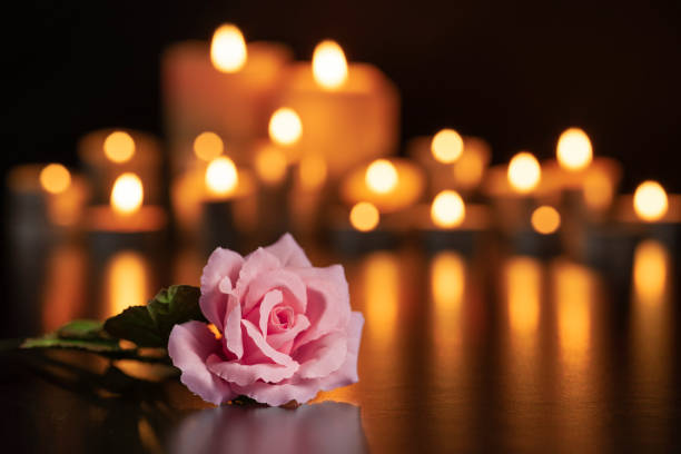 PINK ROSE ON THE GRAVE AND LIGHTED CANDLES UNFOCUSED IN THE BACKGROUND